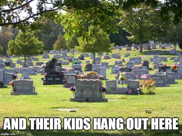 cemetery | AND THEIR KIDS HANG OUT HERE | image tagged in cemetery | made w/ Imgflip meme maker