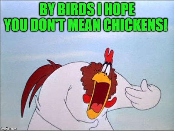 foghorn | BY BIRDS I HOPE YOU DON'T MEAN CHICKENS! | image tagged in foghorn | made w/ Imgflip meme maker