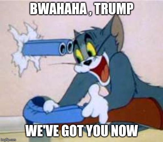 Another day , another futile effort | BWAHAHA , TRUMP; WE'VE GOT YOU NOW | image tagged in tom the cat shooting himself,harassment,victim,president trump,bad day at work | made w/ Imgflip meme maker