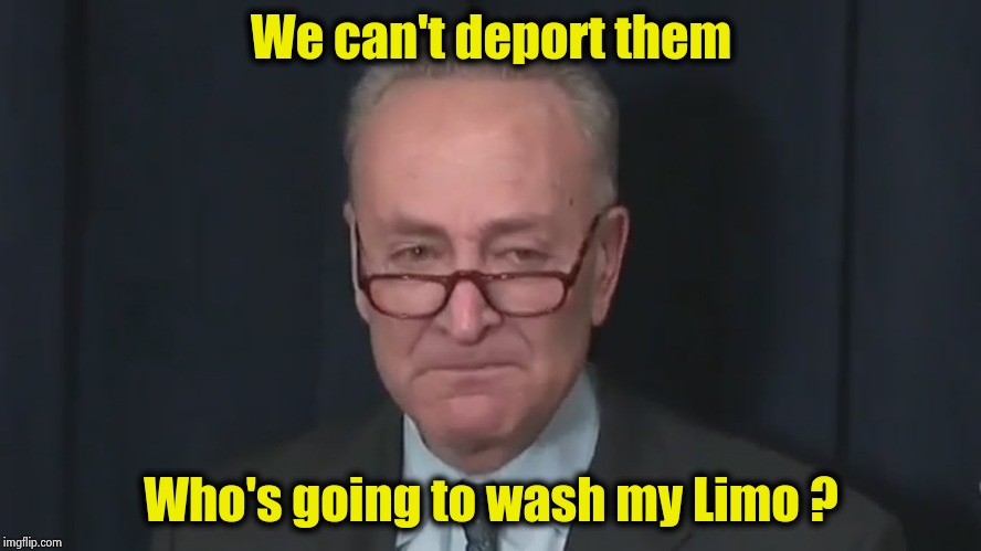 Chuck Schumer Crying | We can't deport them Who's going to wash my Limo ? | image tagged in chuck schumer crying | made w/ Imgflip meme maker