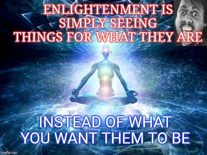 enlightened mind | ENLIGHTENMENT IS SIMPLY SEEING THINGS FOR WHAT THEY ARE; INSTEAD OF WHAT YOU WANT THEM TO BE | image tagged in enlightened mind | made w/ Imgflip meme maker