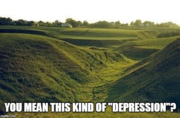 YOU MEAN THIS KIND OF ''DEPRESSION''? | made w/ Imgflip meme maker