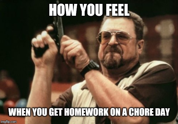 Am I The Only One Around Here Meme | HOW YOU FEEL; WHEN YOU GET HOMEWORK ON A CHORE DAY | image tagged in memes,am i the only one around here | made w/ Imgflip meme maker
