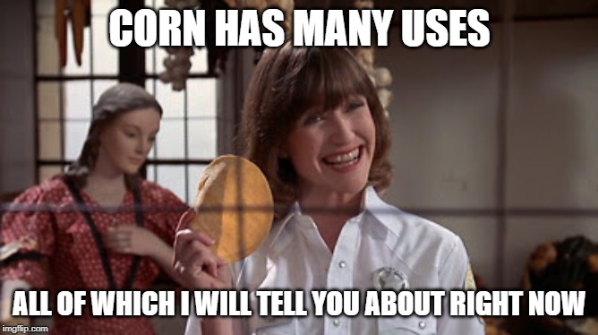 Jan Hooks Pee Wee's Big Adventure Alamo Corn | CORN HAS MANY USES; ALL OF WHICH I WILL TELL YOU ABOUT RIGHT NOW | image tagged in jan hooks pee wee's big adventure alamo corn | made w/ Imgflip meme maker