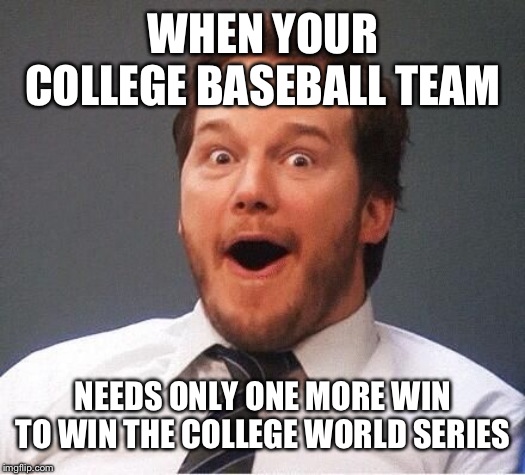 excited | WHEN YOUR COLLEGE BASEBALL TEAM; NEEDS ONLY ONE MORE WIN TO WIN THE COLLEGE WORLD SERIES | image tagged in excited | made w/ Imgflip meme maker