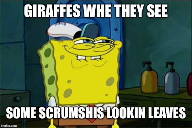 Don't You Squidward Meme | GIRAFFES WHE THEY SEE; SOME SCRUMSHIS LOOKIN LEAVES | image tagged in memes,dont you squidward | made w/ Imgflip meme maker