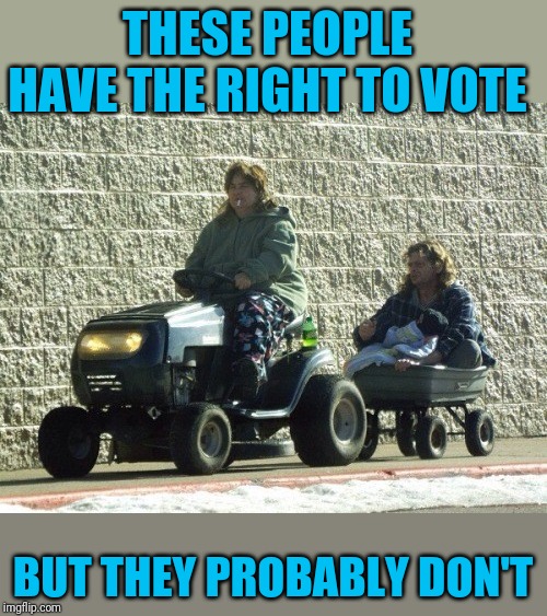 All the Best Political Minds Drive Tractors to Walmart | THESE PEOPLE HAVE THE RIGHT TO VOTE; BUT THEY PROBABLY DON'T | image tagged in electoral college | made w/ Imgflip meme maker
