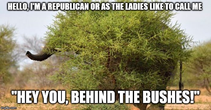 Hey you behind the bushes | HELLO, I'M A REPUBLICAN OR AS THE LADIES LIKE TO CALL ME; "HEY YOU, BEHIND THE BUSHES!" | made w/ Imgflip meme maker