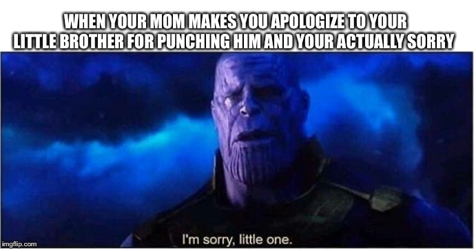 Thanos I'm sorry little one | WHEN YOUR MOM MAKES YOU APOLOGIZE TO YOUR LITTLE BROTHER FOR PUNCHING HIM AND YOUR ACTUALLY SORRY | image tagged in thanos i'm sorry little one | made w/ Imgflip meme maker
