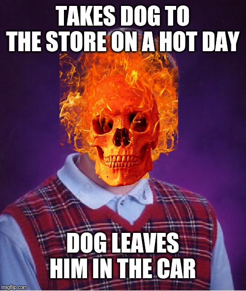 Bad Luck Brian | TAKES DOG TO THE STORE ON A HOT DAY; DOG LEAVES HIM IN THE CAR | image tagged in memes,bad luck brian | made w/ Imgflip meme maker