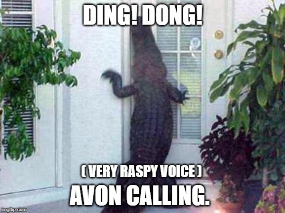 alligator in ya circle | DING! DONG! ( VERY RASPY VOICE ); AVON CALLING. | image tagged in alligator in ya circle | made w/ Imgflip meme maker