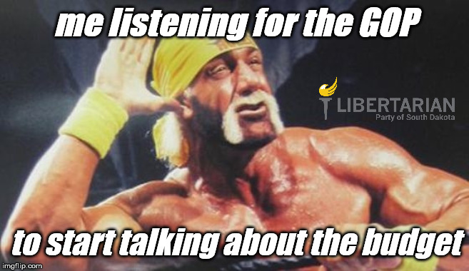 me listening for the GOP; to start talking about the budget | image tagged in political meme,libertarian | made w/ Imgflip meme maker
