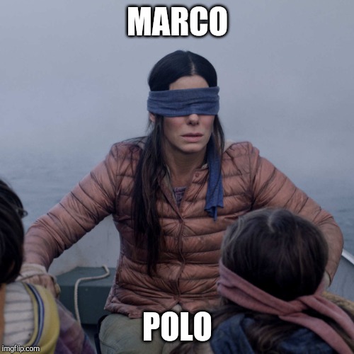 Bird Box | MARCO; POLO | image tagged in memes,bird box | made w/ Imgflip meme maker