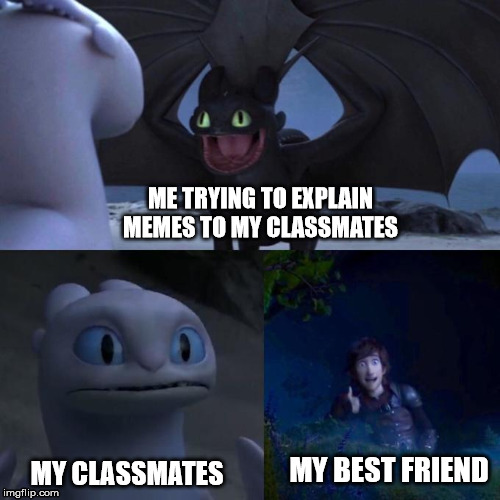 Trying to explain memes | ME TRYING TO EXPLAIN MEMES TO MY CLASSMATES; MY BEST FRIEND; MY CLASSMATES | image tagged in toothless presents himself | made w/ Imgflip meme maker