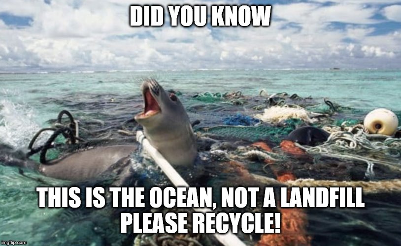 Ocean, not a Landfill! | DID YOU KNOW; THIS IS THE OCEAN, NOT A LANDFILL
PLEASE RECYCLE! | image tagged in ocean,debris,marinelife,plastic,landfill | made w/ Imgflip meme maker