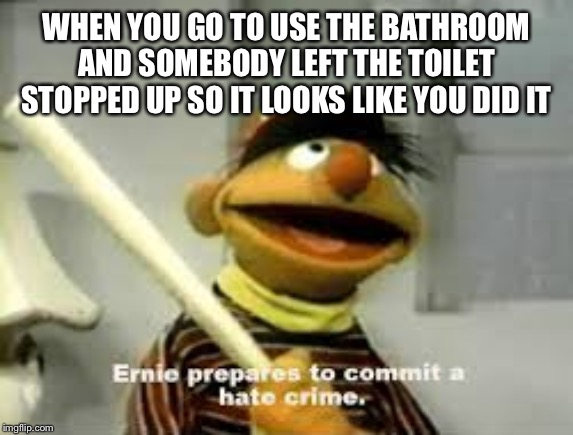 we all know this struggle | WHEN YOU GO TO USE THE BATHROOM AND SOMEBODY LEFT THE TOILET STOPPED UP SO IT LOOKS LIKE YOU DID IT | image tagged in ernie prepares to commit a hate crime,bathroom,toilet,the struggle,rage,memes | made w/ Imgflip meme maker