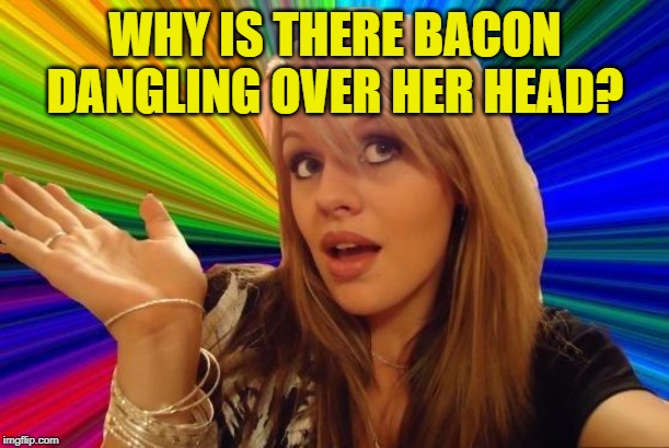 Dumb Blonde Meme | WHY IS THERE BACON DANGLING OVER HER HEAD? | image tagged in memes,dumb blonde | made w/ Imgflip meme maker