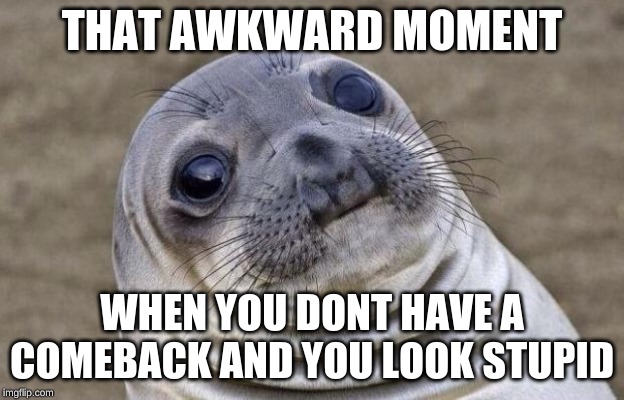 Awkward Moment Sealion Meme | THAT AWKWARD MOMENT; WHEN YOU DONT HAVE A COMEBACK AND YOU LOOK STUPID | image tagged in memes,awkward moment sealion | made w/ Imgflip meme maker