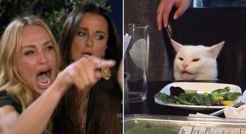 Woman Pointing at Cat Blank Meme Template