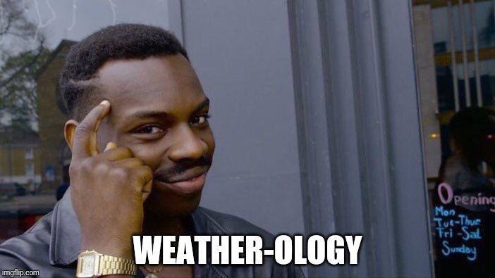 Roll Safe Think About It Meme | WEATHER-OLOGY | image tagged in memes,roll safe think about it | made w/ Imgflip meme maker