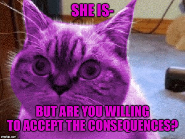 RayCat derp | SHE IS- BUT ARE YOU WILLING TO ACCEPT THE CONSEQUENCES? | image tagged in raycat derp | made w/ Imgflip meme maker