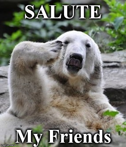 b22 | SALUTE; My Friends | image tagged in b22 | made w/ Imgflip meme maker