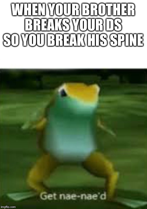 Get nae nae'd | WHEN YOUR BROTHER BREAKS YOUR DS SO YOU BREAK HIS SPINE | image tagged in get nae nae'd | made w/ Imgflip meme maker