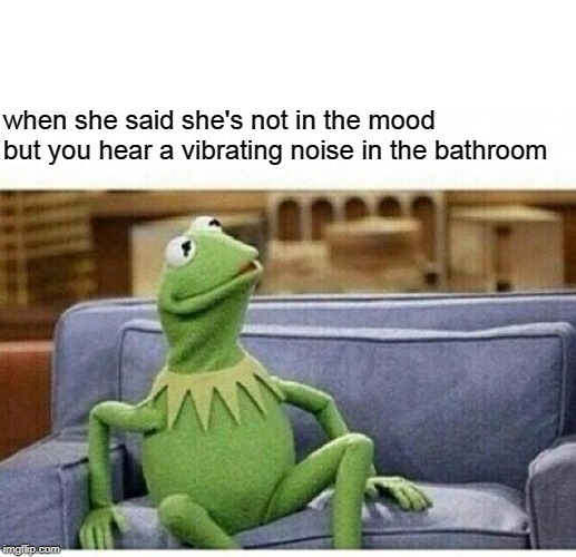 KERMIT | when she said she's not in the mood but you hear a vibrating noise in the bathroom | image tagged in kermit | made w/ Imgflip meme maker