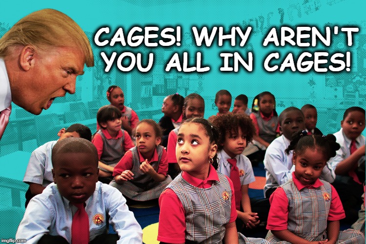 CAGES! WHY AREN'T YOU ALL IN CAGES! | image tagged in trump,migrants,cage,children,border | made w/ Imgflip meme maker