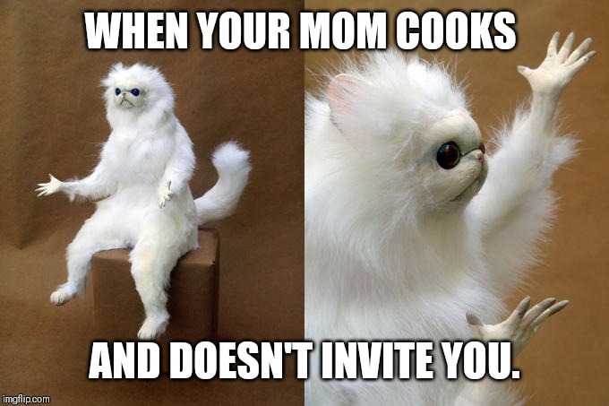 Persian Cat Room Guardian | WHEN YOUR MOM COOKS; AND DOESN'T INVITE YOU. | image tagged in memes,persian cat room guardian | made w/ Imgflip meme maker