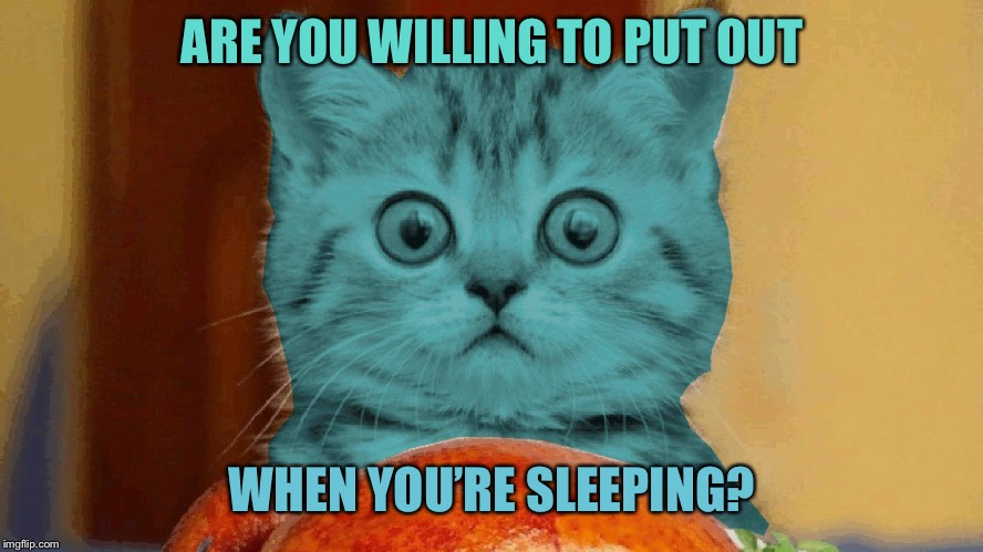 RayCat surprised | ARE YOU WILLING TO PUT OUT WHEN YOU’RE SLEEPING? | image tagged in raycat surprised | made w/ Imgflip meme maker