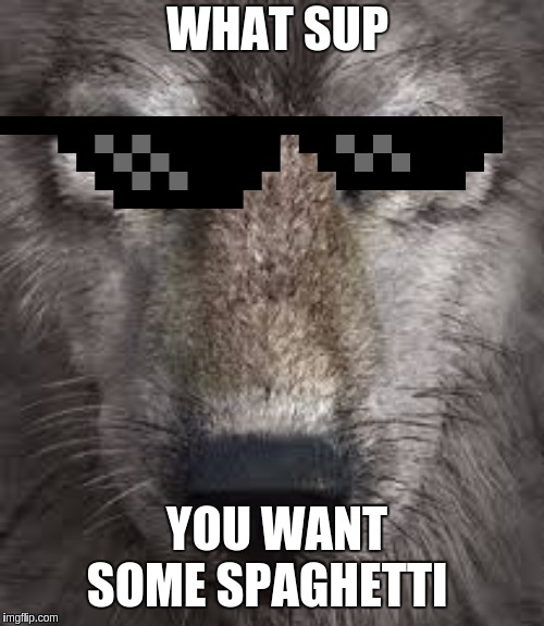 spaghetti wolf | WHAT SUP; YOU WANT SOME SPAGHETTI | image tagged in wolf,spaghetti | made w/ Imgflip meme maker