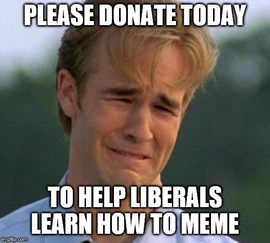 1990s First World Problems | PLEASE DONATE TODAY; TO HELP LIBERALS LEARN HOW TO MEME | image tagged in memes,1990s first world problems | made w/ Imgflip meme maker