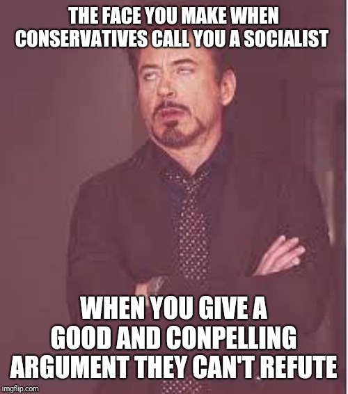 Heh lol, I like this stream already | THE FACE YOU MAKE WHEN CONSERVATIVES CALL YOU A SOCIALIST; WHEN YOU GIVE A GOOD AND CONPELLING ARGUMENT THEY CAN'T REFUTE | image tagged in tony stark | made w/ Imgflip meme maker