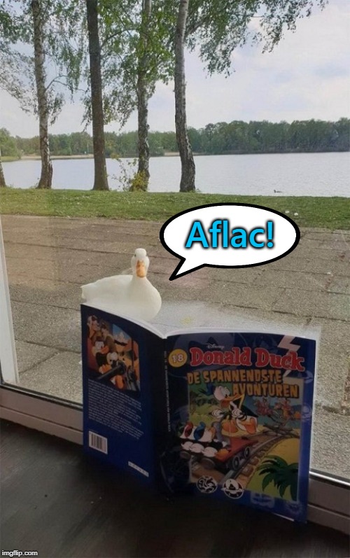 When that duck won't stop bothering you outside your door no matter what you do. | Aflac! | image tagged in funny,duck,awesomeness | made w/ Imgflip meme maker