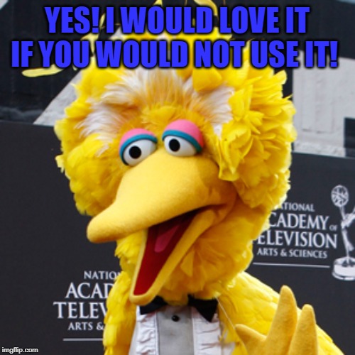 Big Bird Meme | YES! I WOULD LOVE IT IF YOU WOULD NOT USE IT! | image tagged in memes,big bird | made w/ Imgflip meme maker