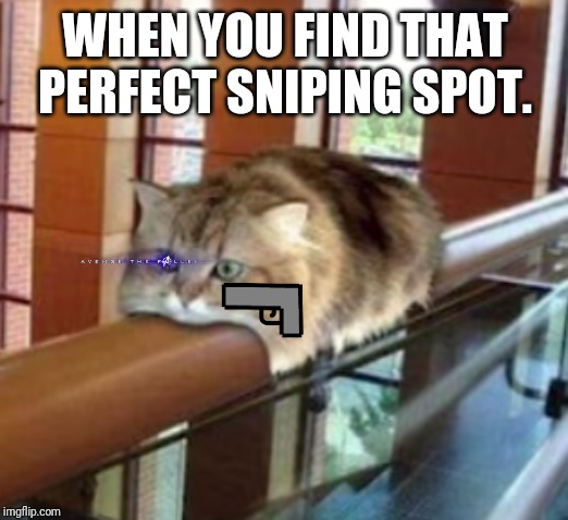 Monorail cat | WHEN YOU FIND THAT PERFECT SNIPING SPOT. | image tagged in monorail cat | made w/ Imgflip meme maker