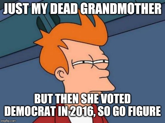 Futurama Fry Meme | JUST MY DEAD GRANDMOTHER BUT THEN SHE VOTED DEMOCRAT IN 2016, SO GO FIGURE | image tagged in memes,futurama fry | made w/ Imgflip meme maker