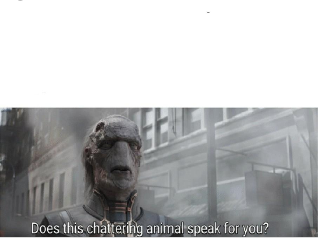 High Quality does this chattering animal speak for you Blank Meme Template