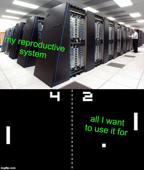 overkill | my reproductive system; all I want to use it for | image tagged in vagina,women,computer,pong | made w/ Imgflip meme maker