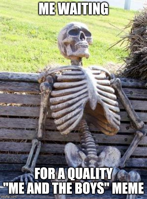 Waiting Skeleton Meme | ME WAITING FOR A QUALITY "ME AND THE BOYS" MEME | image tagged in memes,waiting skeleton | made w/ Imgflip meme maker