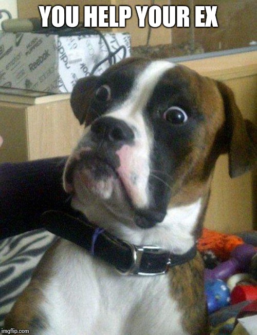 Blankie the Shocked Dog | YOU HELP YOUR EX | image tagged in blankie the shocked dog | made w/ Imgflip meme maker
