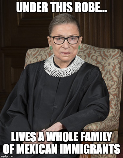 She Fights for those Who Don't Have a Voice | UNDER THIS ROBE... LIVES A WHOLE FAMILY OF MEXICAN IMMIGRANTS | image tagged in ruth bader ginsberg | made w/ Imgflip meme maker