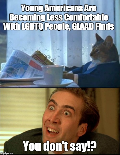 When millenial parents are becoming so wacked out, only way their kids can rebel is being normal. | Young Americans Are Becoming Less Comfortable With LGBTQ People, GLAAD Finds; You don't say!? | image tagged in funny,generation z,millenials,lgbtq,normal | made w/ Imgflip meme maker