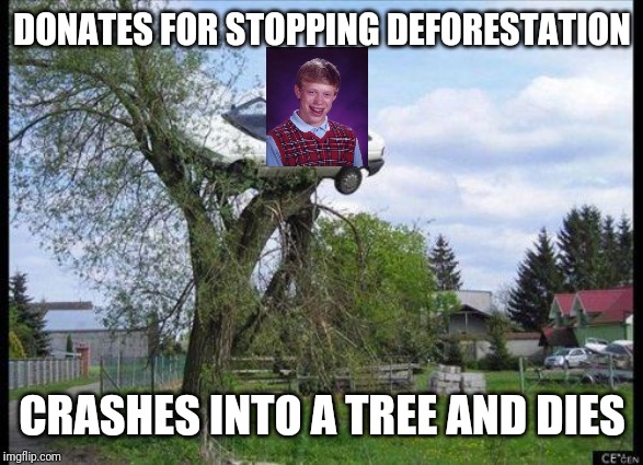 car in tree | DONATES FOR STOPPING DEFORESTATION CRASHES INTO A TREE AND DIES | image tagged in car in tree | made w/ Imgflip meme maker