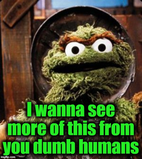 Oscar the Grouch | I wanna see more of this from you dumb humans | image tagged in oscar the grouch | made w/ Imgflip meme maker