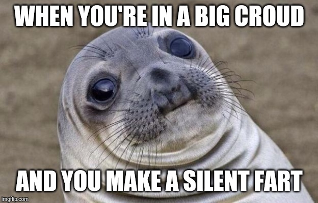Awkward Moment Sealion | WHEN YOU'RE IN A BIG CROUD; AND YOU MAKE A SILENT FART | image tagged in memes,awkward moment sealion | made w/ Imgflip meme maker