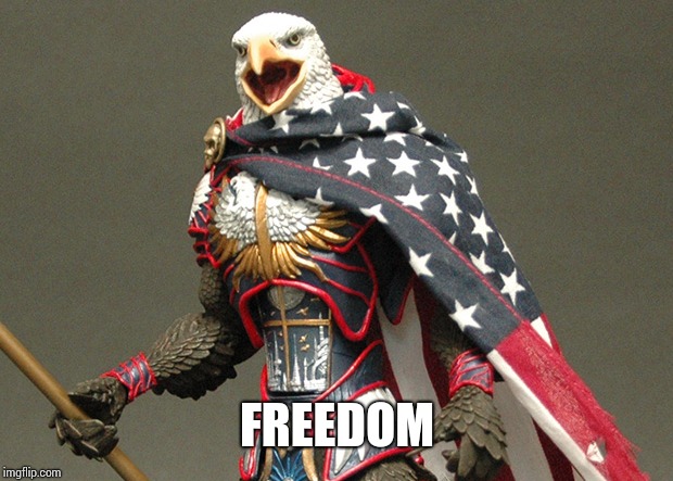 Patriotic Defender Eagle Of America | FREEDOM | image tagged in patriotic defender eagle of america | made w/ Imgflip meme maker
