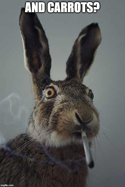 Rabbit smoking  | AND CARROTS? | image tagged in rabbit smoking | made w/ Imgflip meme maker