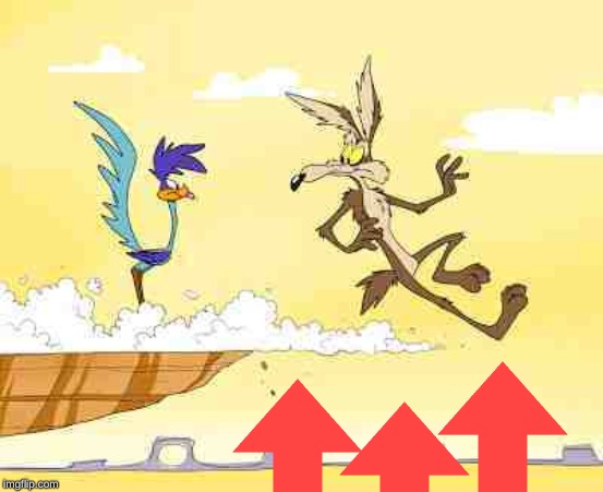 Wile E. Coyote roadrunner | image tagged in wile e coyote roadrunner | made w/ Imgflip meme maker